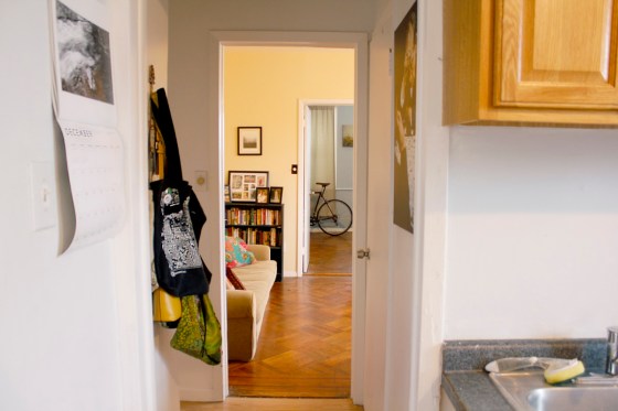 Elizabeths 480 sqft Brooklyn Apartment 04